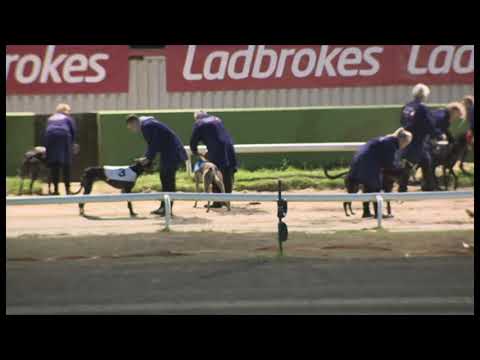 King Dylan - Ladbrokes Kent Derby (Heat 3)