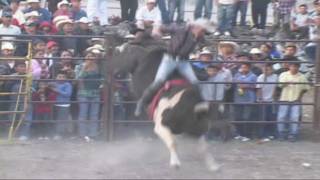 preview picture of video 'jaripeo en chehuayo grande'