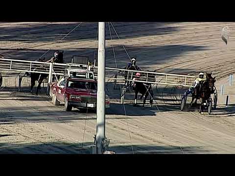 Aversa trotto 28 Ottobre 2020 - 2° Corsa