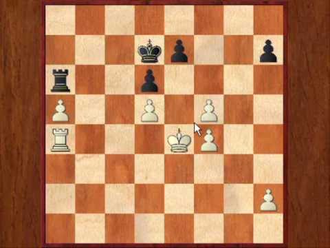 Chess Opening Surveys #4:IGM Karel Van Der Weide On The Wolga Gambit (2)