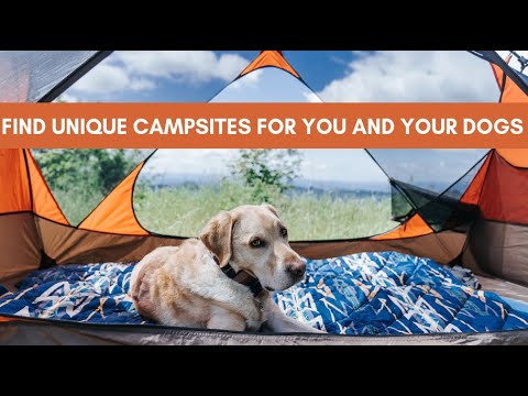Find Unique Places to Camp (pet friendly, budget friendly, remote)