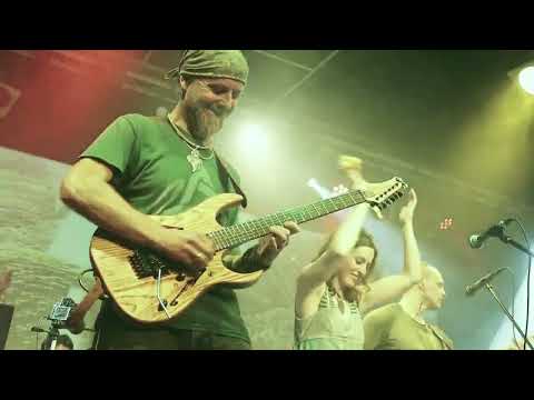 Dave Brons - The Shire - Live Clip