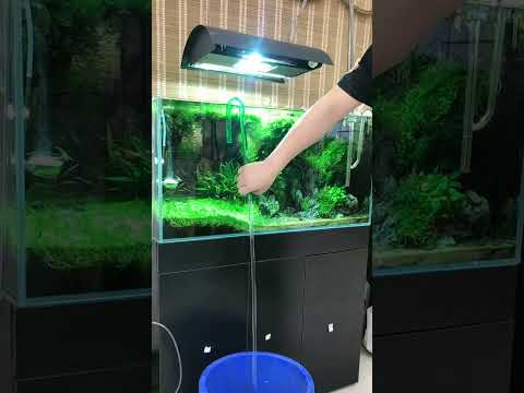 A small tip for aquarium water change