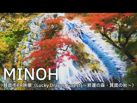 箕面市観光PR映像（Lucky Dragon Forest ～昇運の森・箕面の秋～）