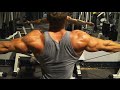 PUMPTASTIC Workout For DELTS, Upper Chest & Traps | Classic & Alternative Exercises