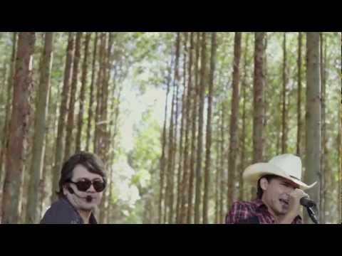 Eucalipto video