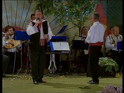 Albesteanu 2009 - Adrian Macianu - Mai morare dumneata