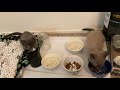 Hungry And Thirsty Cats Asmr