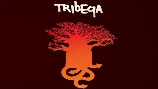 Tribeqa (ft. Dajla) - Bridge The Gap