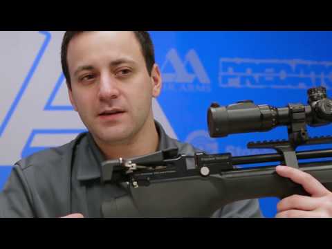 Episode 1 - PCP Airguns 101: What are PCP Airguns?