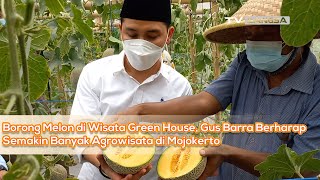 Borong Melon di Wisata Green House, Gus Barra Berharap Semakin Banyak Agrowisata di Mojokerto