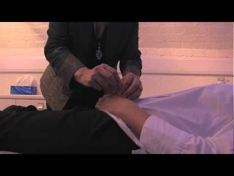Acupuncture - Jacqueline Hurst - Introduction to Acupuncture