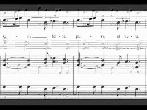 Antonio Vivaldi-Motet Nulla in mundo pax sincera RV630