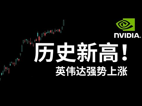 Video thumbnail for 英伟达暴涨4.33%创出历史新高 TSLA抹去Robotaxi涨幅 特朗普金融监管利好