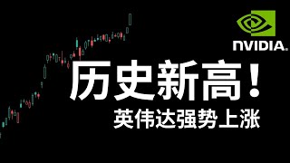 Thumbnail for 英伟达暴涨4.33%创出历史新高 TSLA抹去Robotaxi涨幅 特朗普金融监管利好