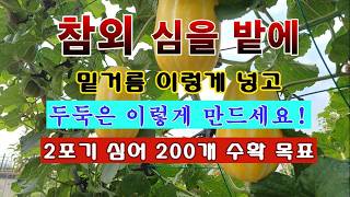 [텃밭농부 2,220]  참외 심을 밭에 밑거름 이렇게 넣고, 두둑 이렇게 만드세요! #참외재배