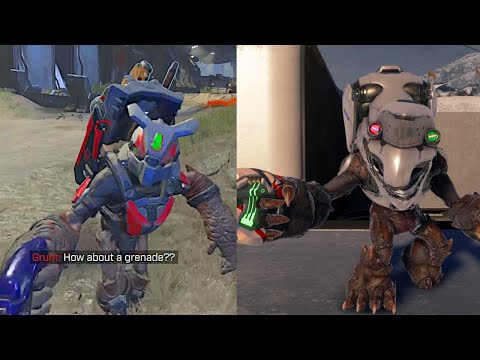 Grunts Halo Infinite vs Halo 5