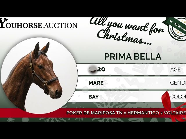 Prima Bella