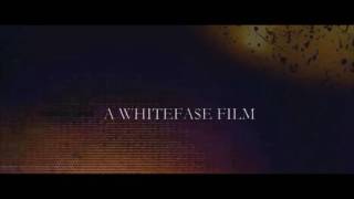 Ty Take no Loss (Video)