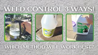Trying Out 3 Different Kinds of Weed Control! ::  Boiling Water vs. Vinegar vs. Burnout!