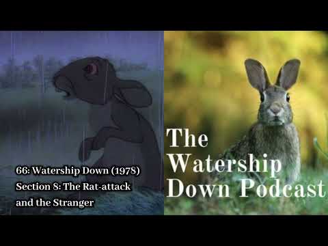 66: Watership Down (1978) Section 8: The Rat Attack and the Stranger