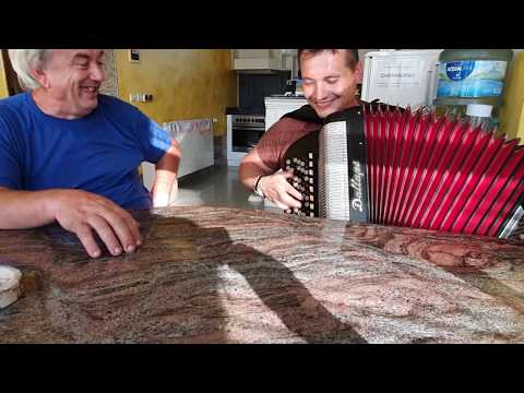 Darko Antić & Ćosa - Harmoniko moja