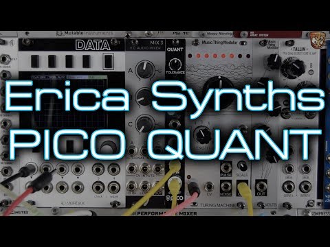 Erica Synths Pico Quant image 2
