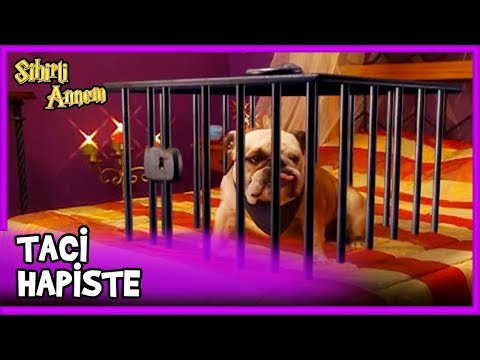 Dudu, Taci'yi Hapsetti! - Sihirli Annem 25. Bölüm