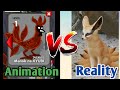 Animation versus Reality Manok na pula part 2