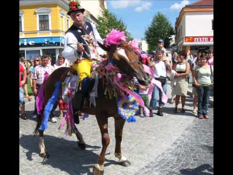 Jan a František Nedvědovi- Kyjov