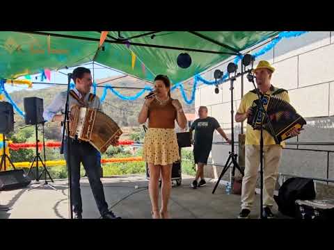 DESGARRADA 👉 NATY VIEIRA ♦️ BORGUINHA de BRAGA ♦️ AUGUSTO CANÁRIO