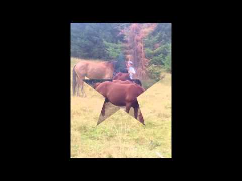 MUNTELE BOCULUI 2015