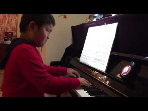 The Black Pony by Lajos Papp