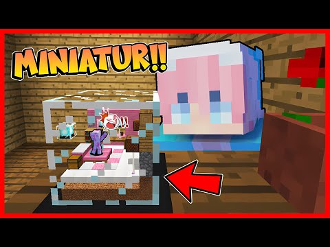 Momo enters miniature in Minecraft feat. Sapipurba