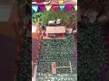 Gauri Ganpati Decoration Theme Bail Pola Gauriganpati Gauripujan Gauri Ganpati
