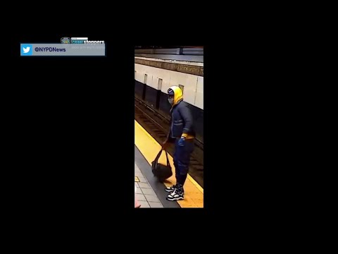 NYC Bronx NYPD Arrest Subway Attacker