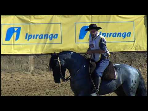 Classificatória de Araranguá - 6º lugar machos - Arroyto do Canguçu (Bayard/Sarmento)