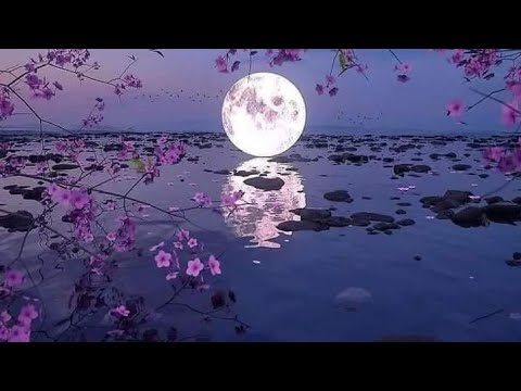 💕Czasami  Jestem Poza Zasiegiem