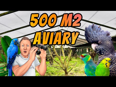 Parrot Heaven & 500m2 Aviary - Riesige Voliere und seltene Kakadus - with Subtitles
