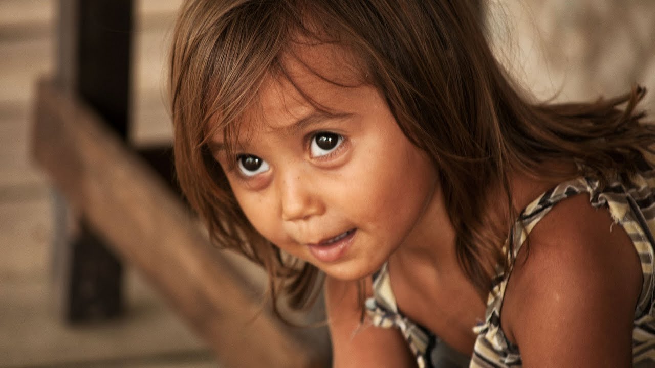 Missão Amazônia - Amazon Mission