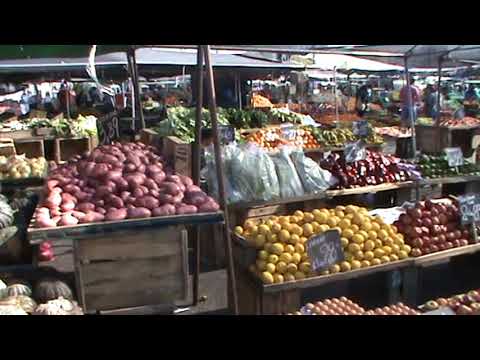 Maldonado Market - 2