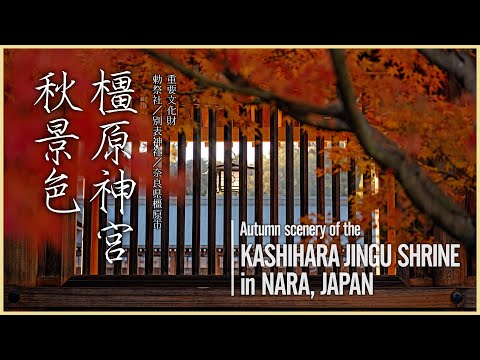 【奈良／重要文化財】橿原神宮秋景色 - Kashihara Jingu Shrine in NARA, JAPAN -