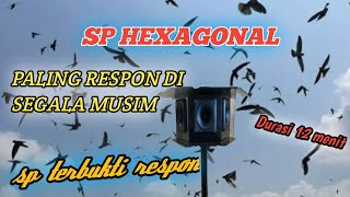 Download lagu SP HEXAGONAL PALING  RESPON DI SEGALA MUSIM TERBUKTI SEDOTAN JOS mp3
