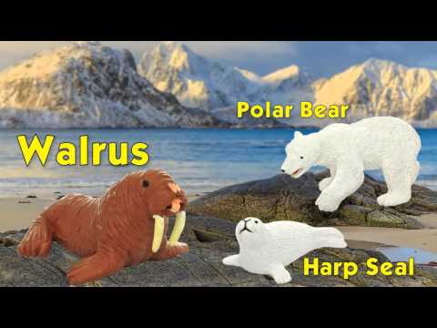 Safari Ltd® Arctic Toob