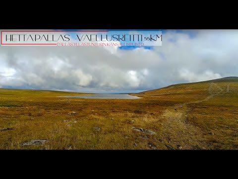 Lapsiperhe vaeltaa: Hetta-Pallas -vaellus 08/2022