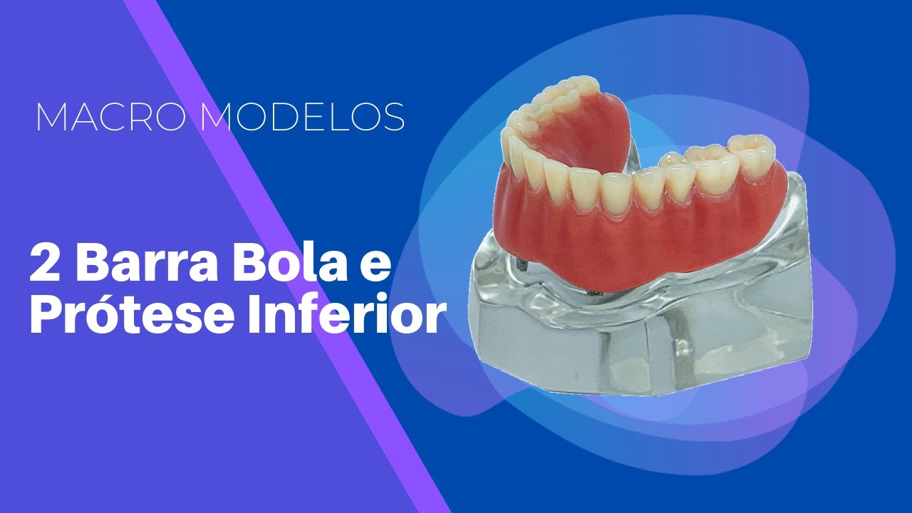 A-PB: Modelo Maxilar e Mandibular para Periodontia FRASACO - Dentaltix