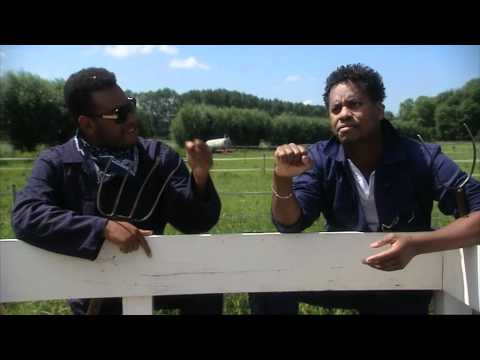 De Dino Show 2011 - Broers zoekt Vrouw