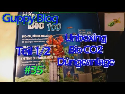 Guppy Blog Folge #35 | Unboxing und Vorbereitung Bio CO2 Düngeanlage Teil 1/2 | Januar 2018