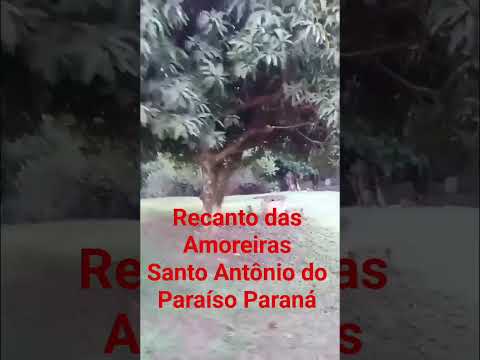 Recanto das Amoreiras Santo Antônio do Paraíso no norte pioneiro do Paraná