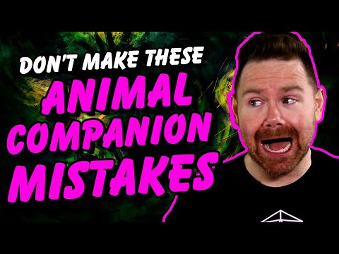 Avoid these 5 animal companion MISTAKES in D&D